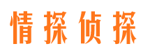 南关市调查公司